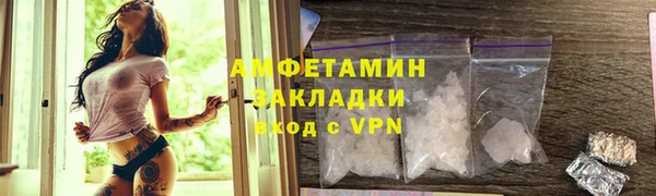 прущие грибы Костерёво