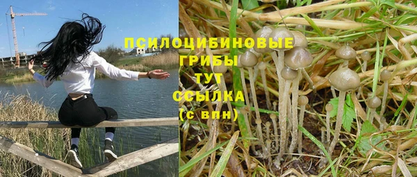 прущие грибы Костерёво