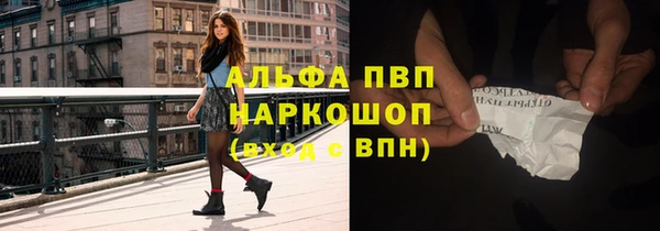 ГАЛЛЮЦИНОГЕННЫЕ ГРИБЫ Сатка