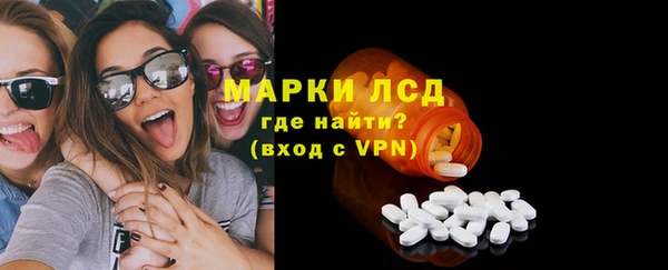 гашик Козельск