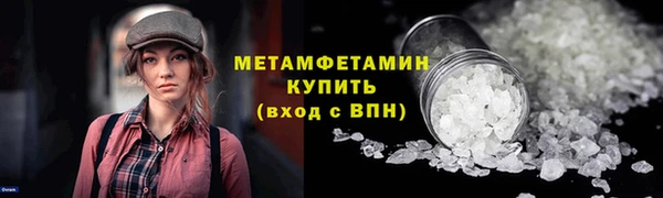 прущие грибы Костерёво