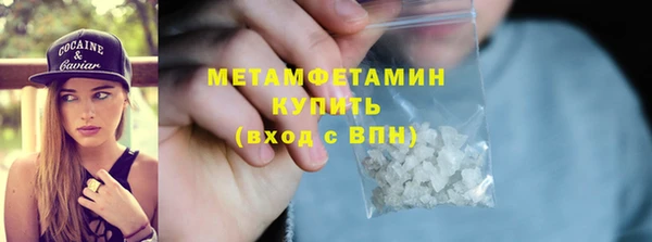 прущие грибы Костерёво