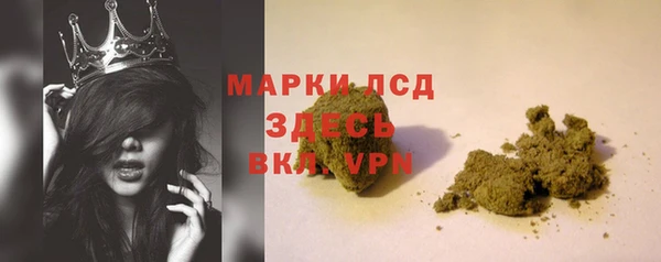 гашик Козельск