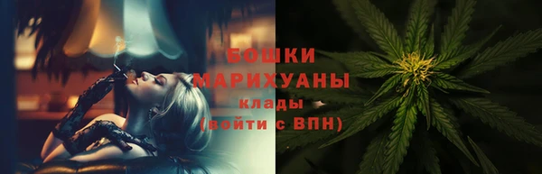 СК Коряжма