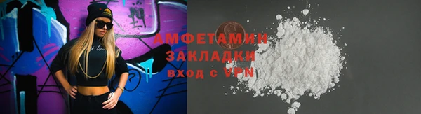 прущие грибы Костерёво