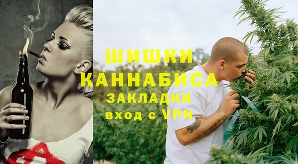 прущие грибы Костерёво