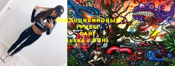 гашик Козельск