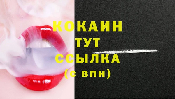 СК Коряжма