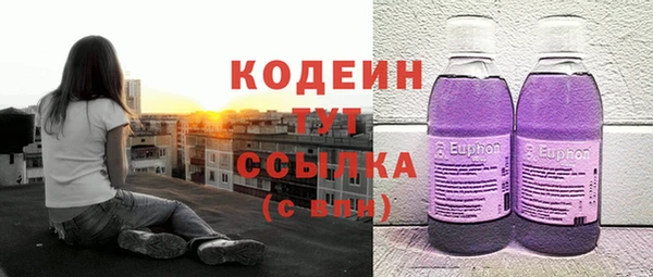 СК Коряжма