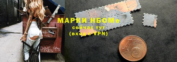 гашик Козельск
