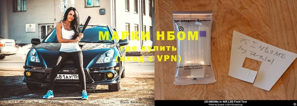 прущие грибы Костерёво