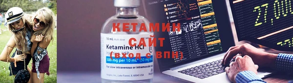 прущие грибы Костерёво