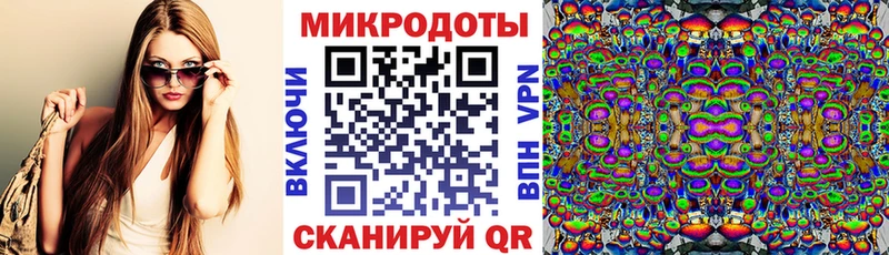 Галлюциногенные грибы Psilocybine cubensis  наркошоп  Костомукша 